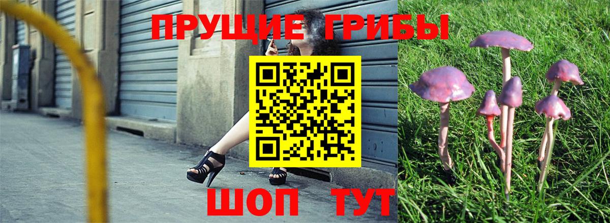 Буйнакск  Псилоцибиновые грибы мухоморы  Вход с VPN 