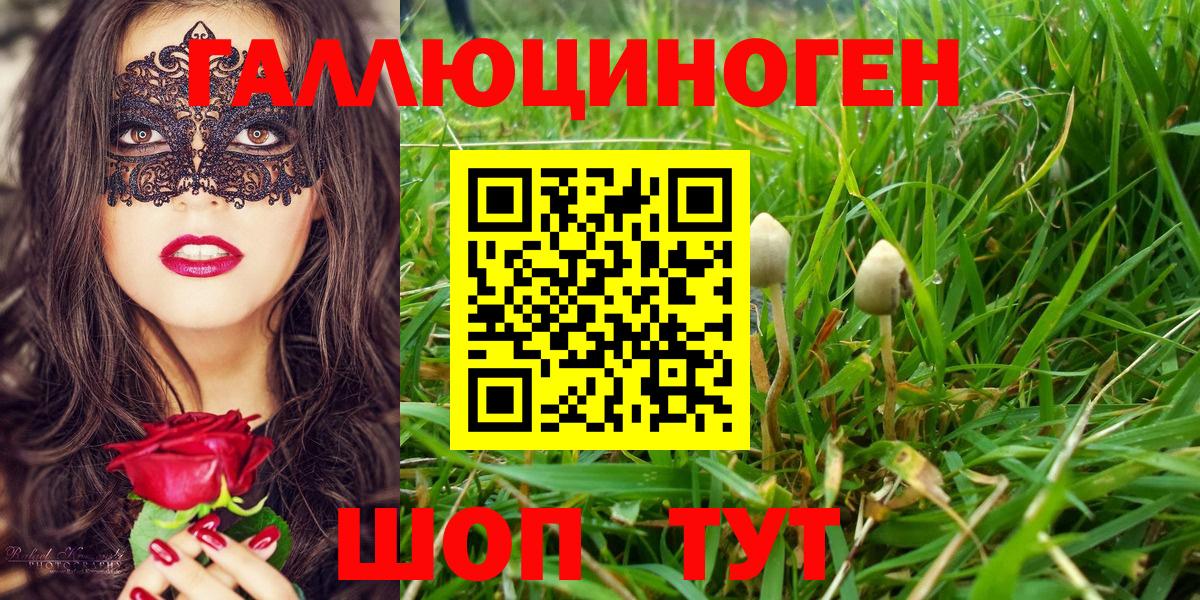 Галлюциногенные грибы мицелий Буйнакск